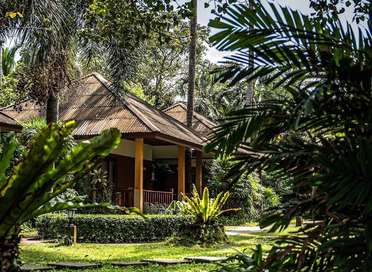 Anahata - Main view
