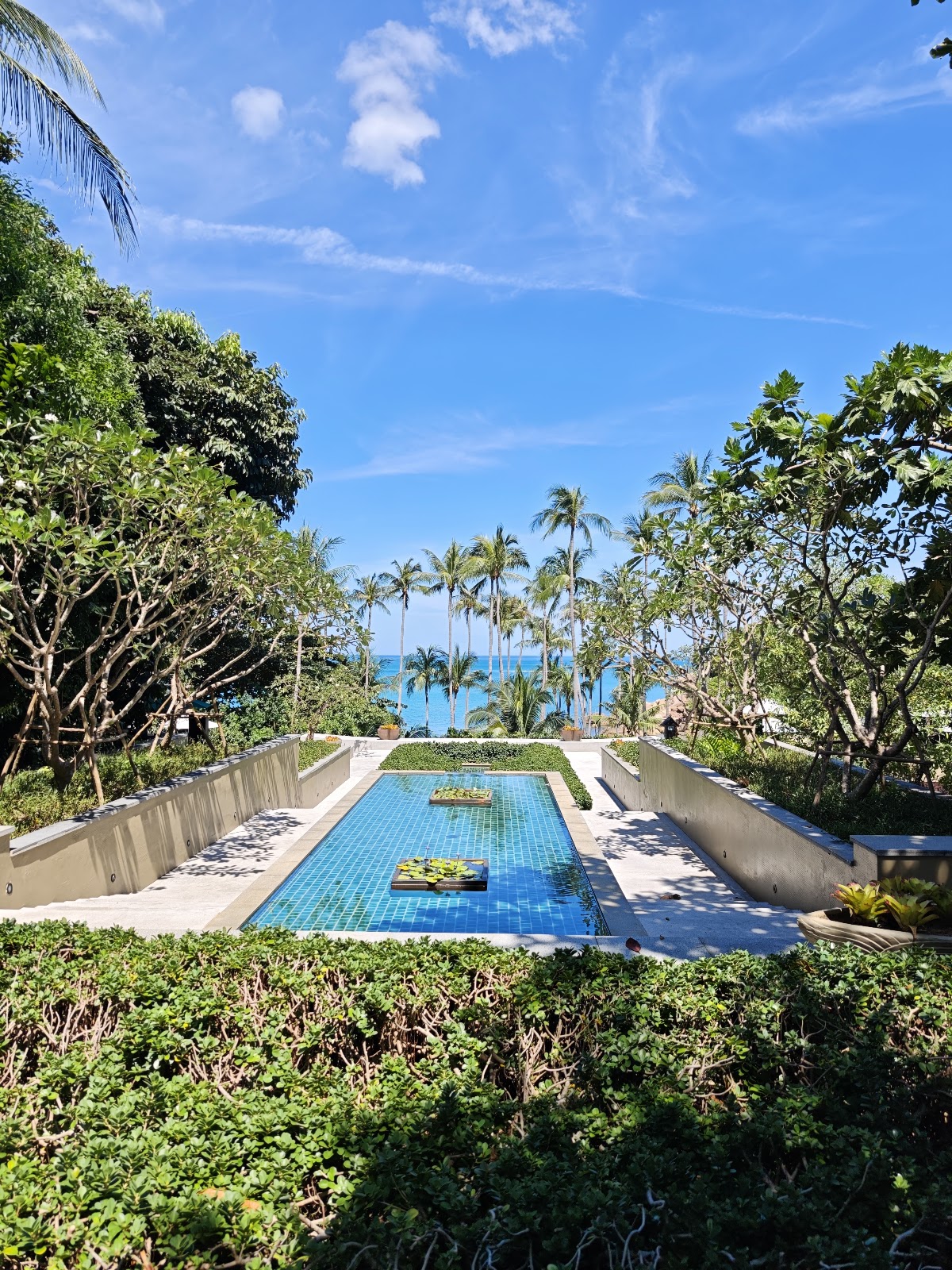 Banyan Tree - Photo 4