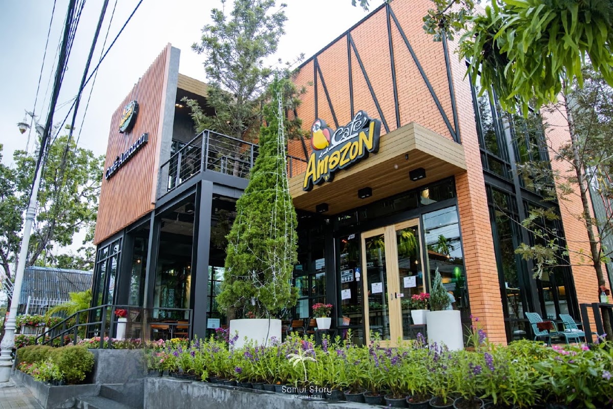 Café Amazon - Main view
