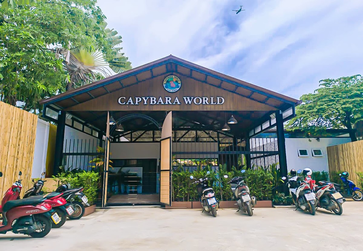 Capybara World - Main view