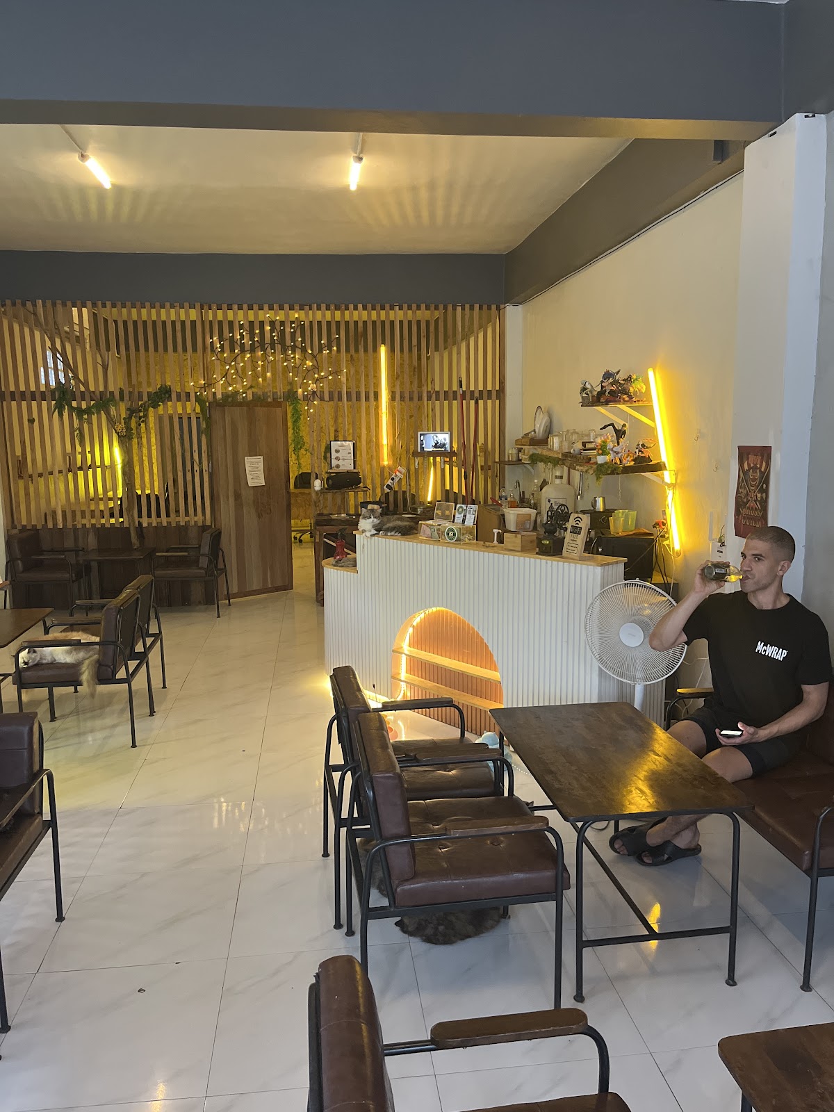 Cats Cafe - Photo 2