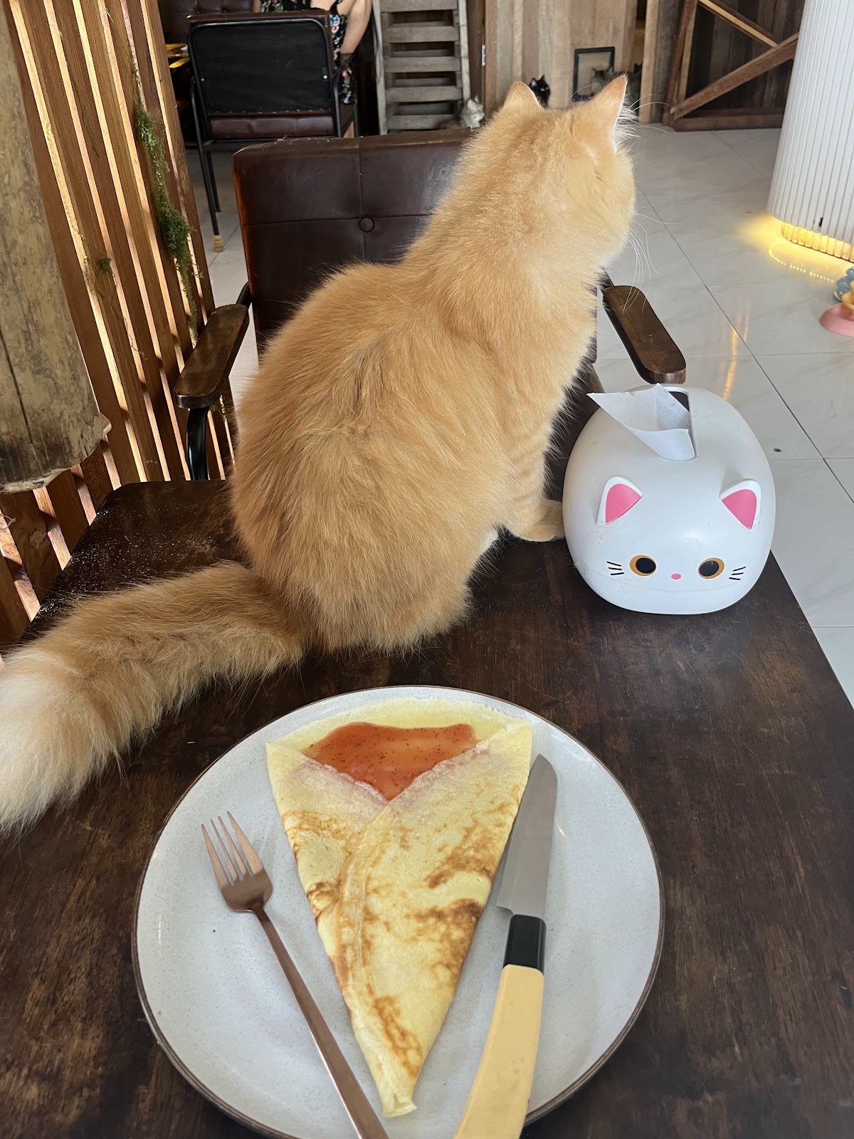 Cats Cafe - Photo 3