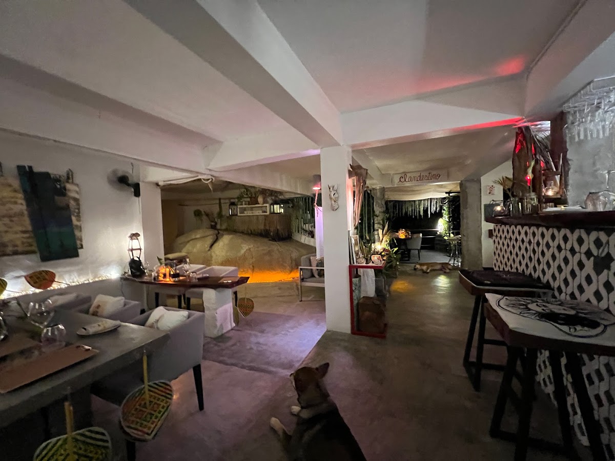 Clandestino - Photo 2