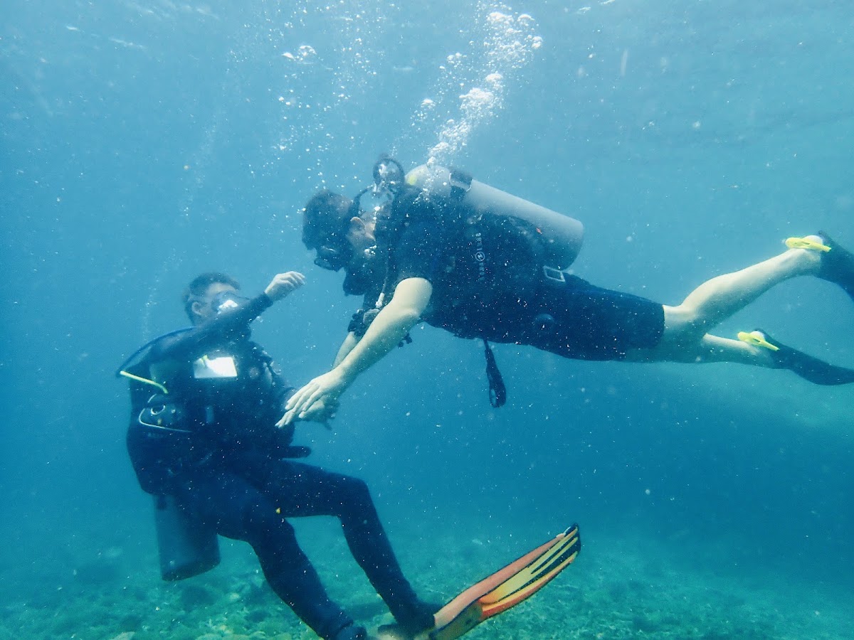 Discovery Divers - Photo 3