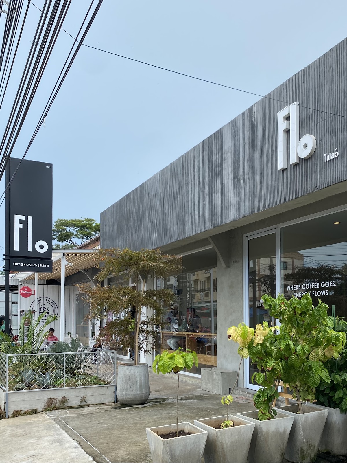 Flo Coffee Roaster - Main view