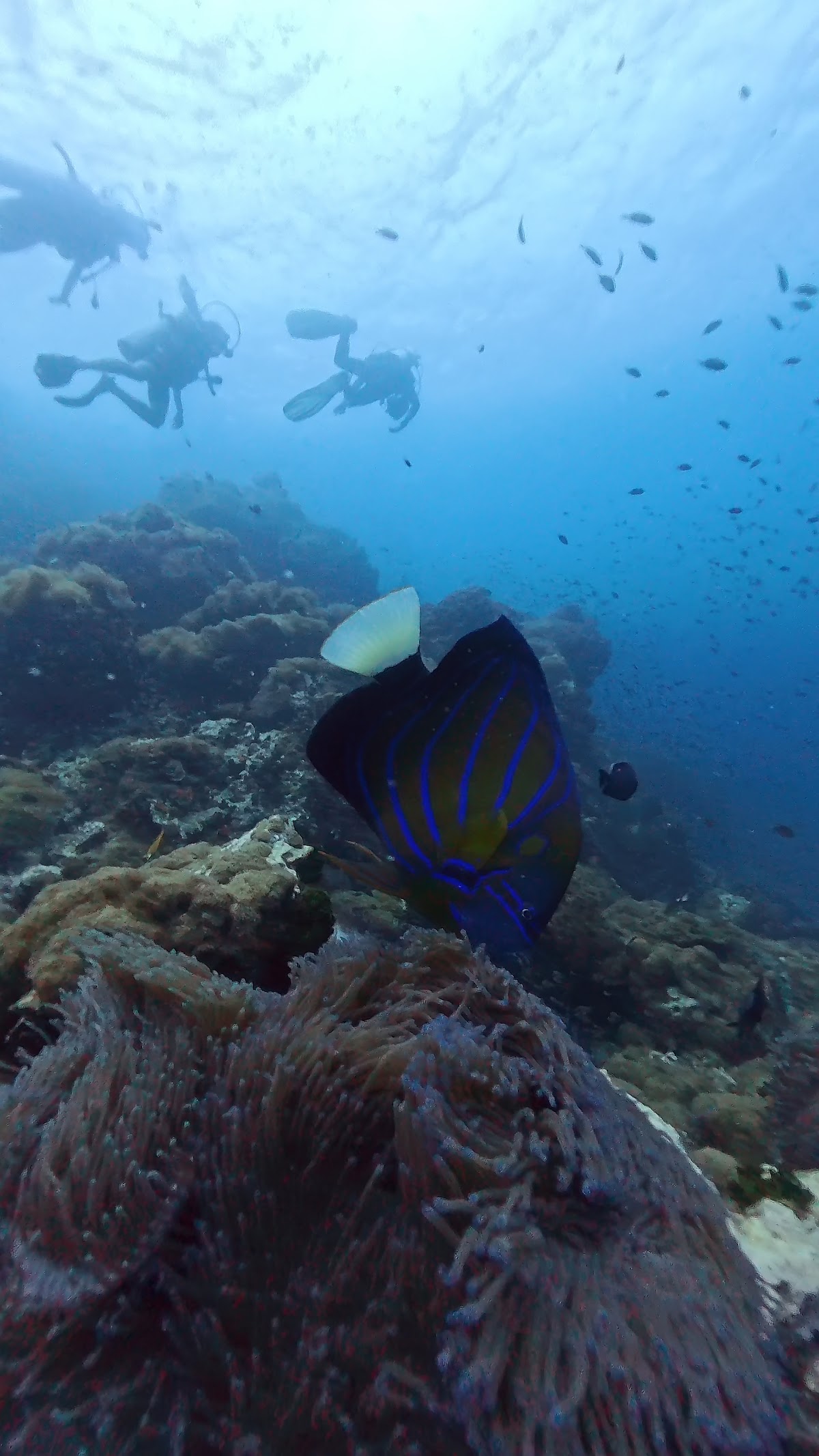 France Plongee Dive Center - Photo 4