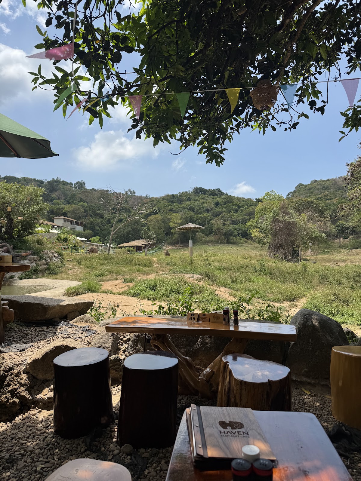 Haven Elephant Café & Restaurant - Main view