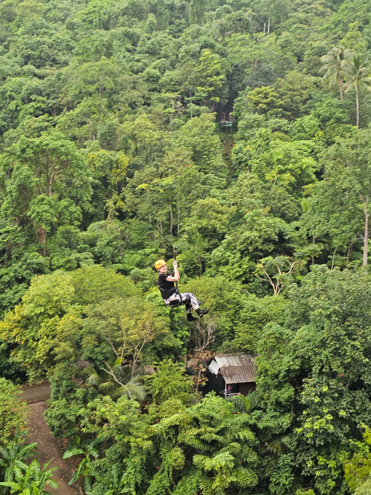 Hawk Adventure Zipline Park - Main view
