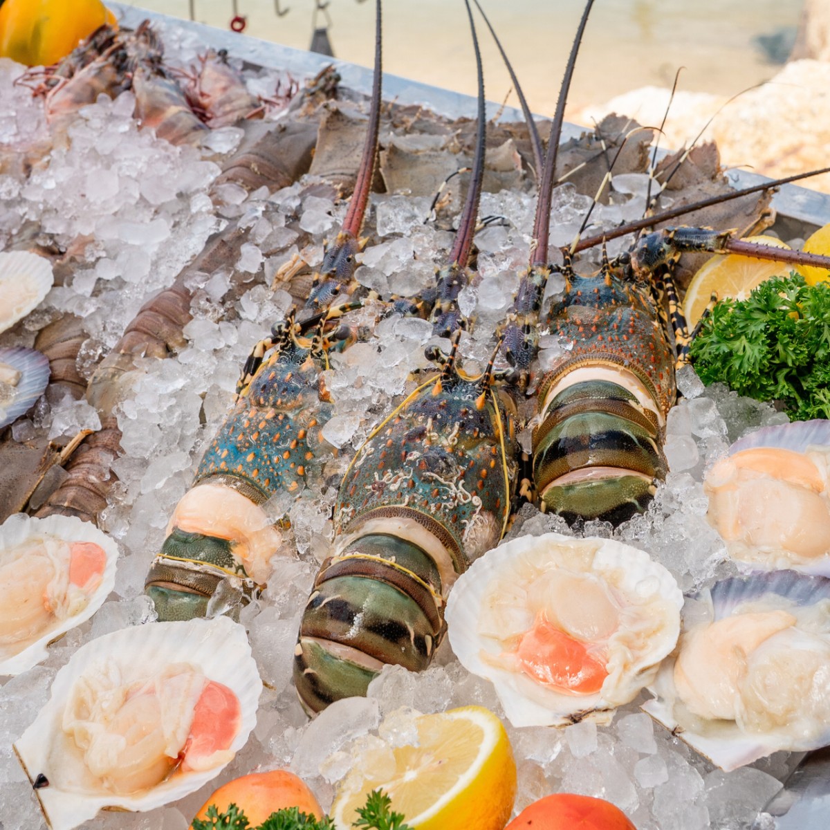 JUZE Island Seafood Brunch & Bar - Photo 3