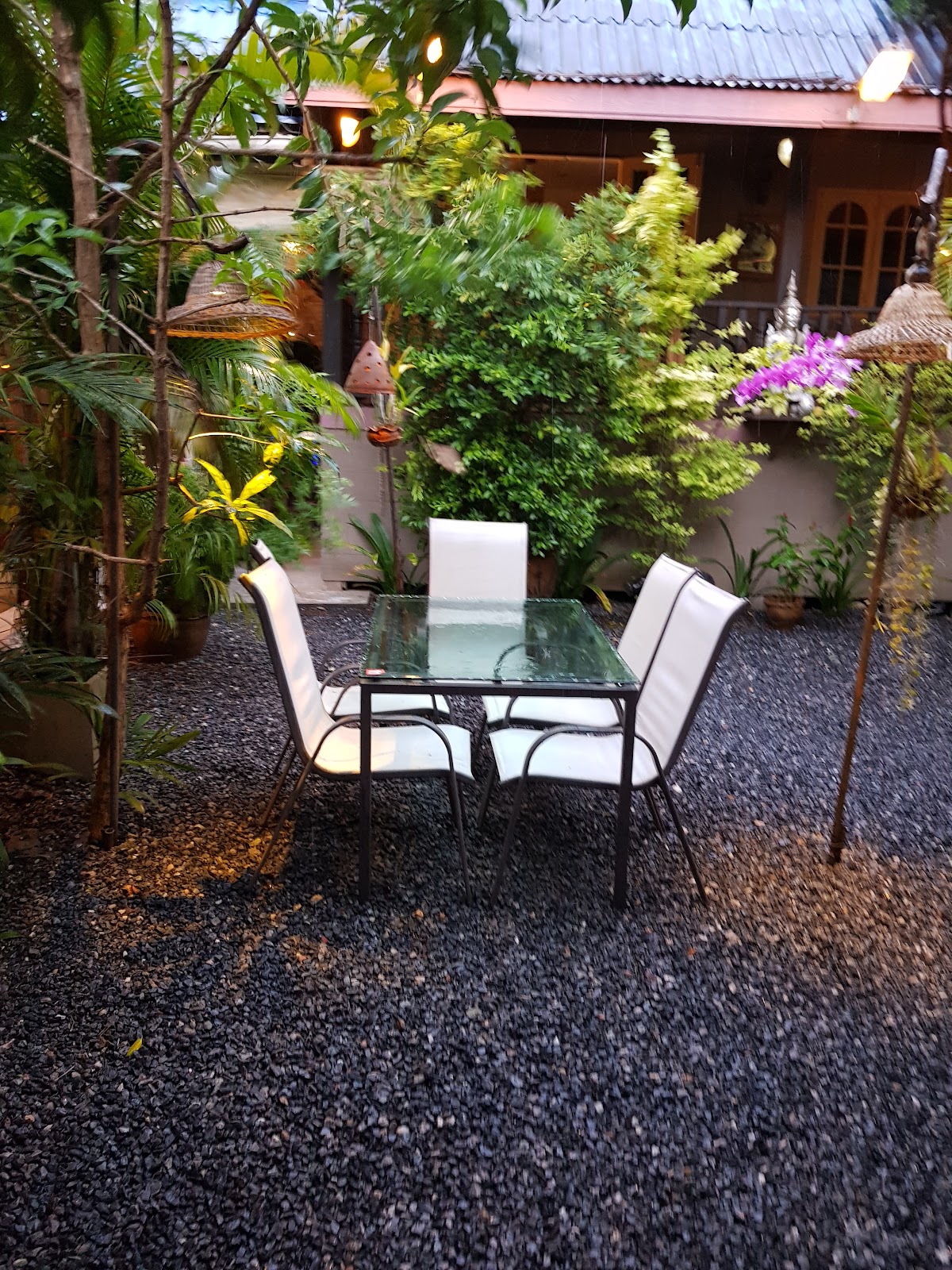 La Côte de Bœuf - Photo 2