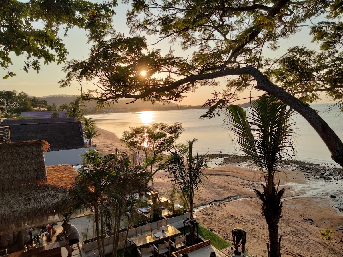 Malika Beach Club - Photo 3