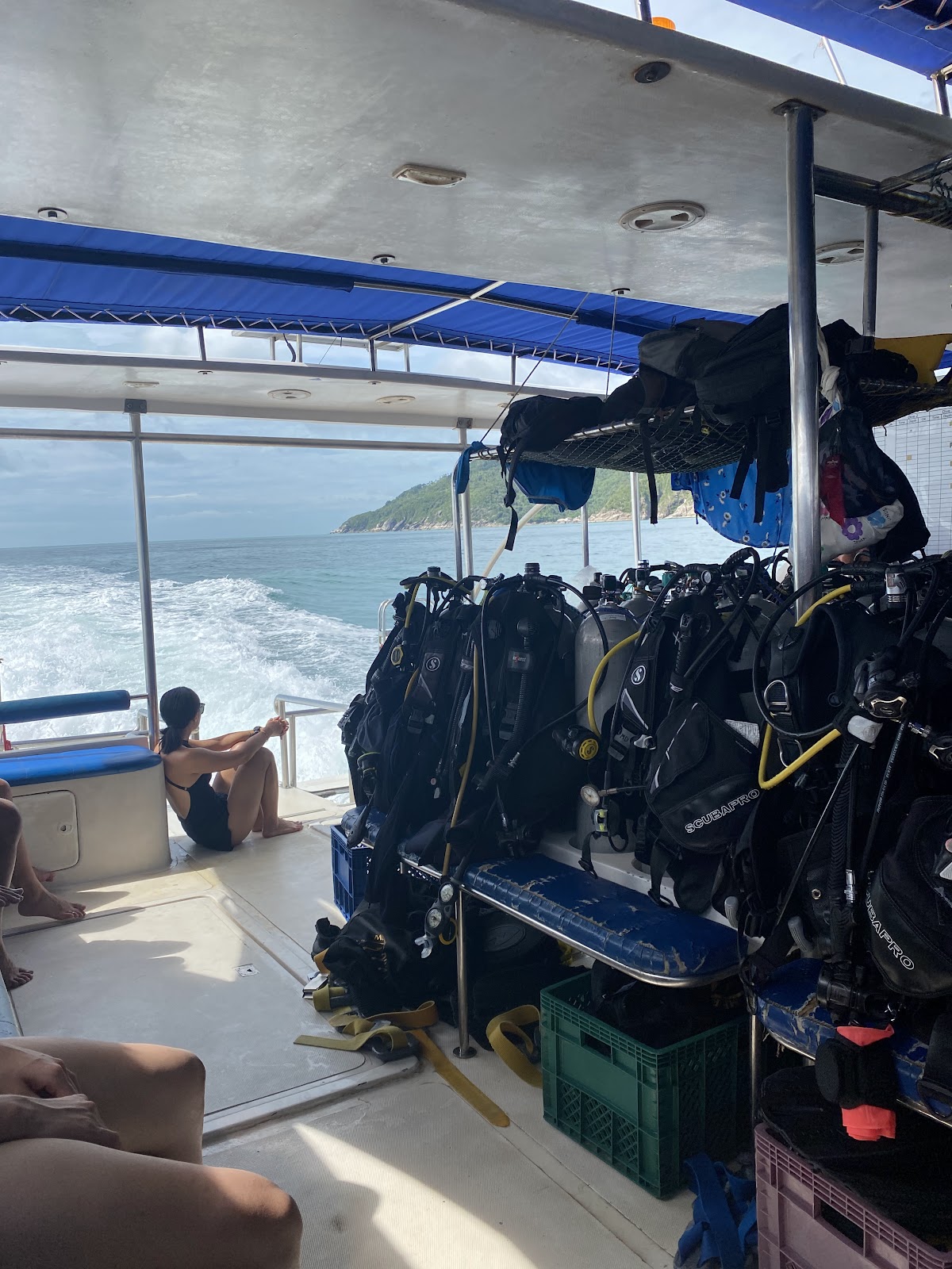 Member Diving - Photo 4