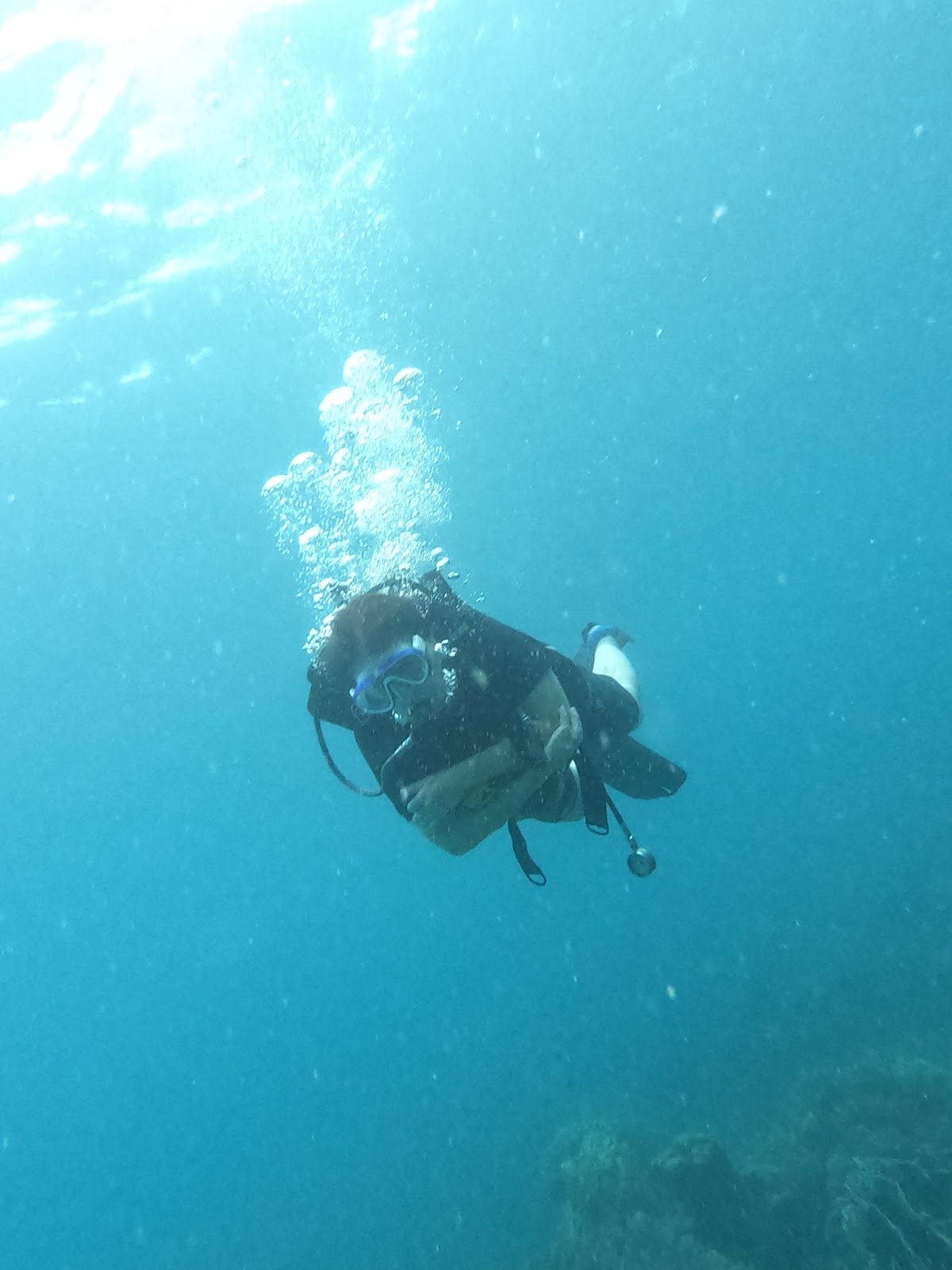 Member Diving - Photo 2