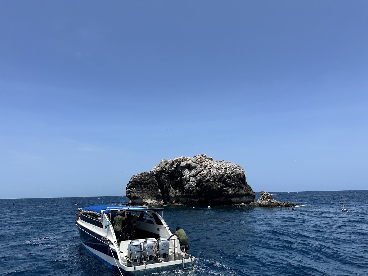 Member Diving - Photo 3