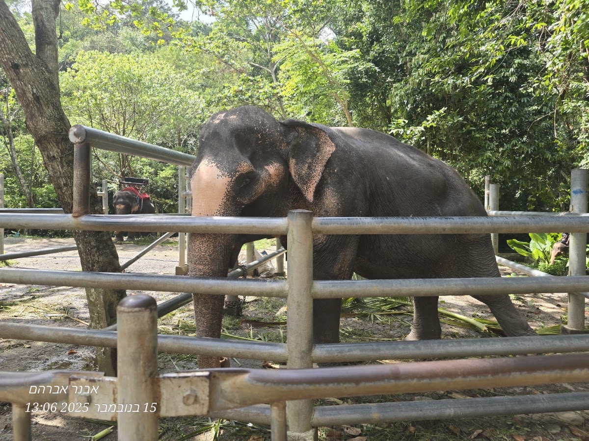Na Muang Waterfall - Photo 3