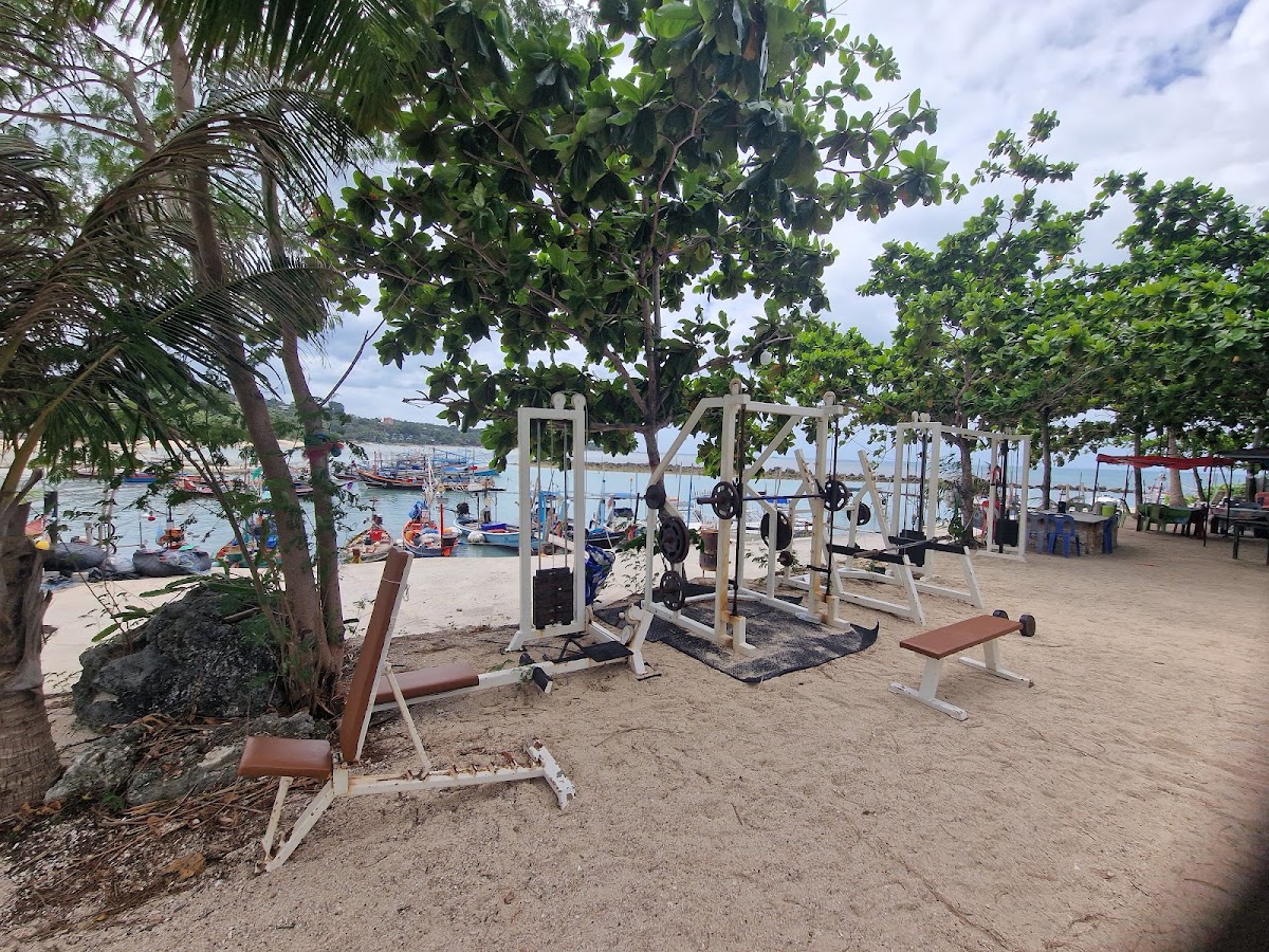 Outdoor Gym - Main view
