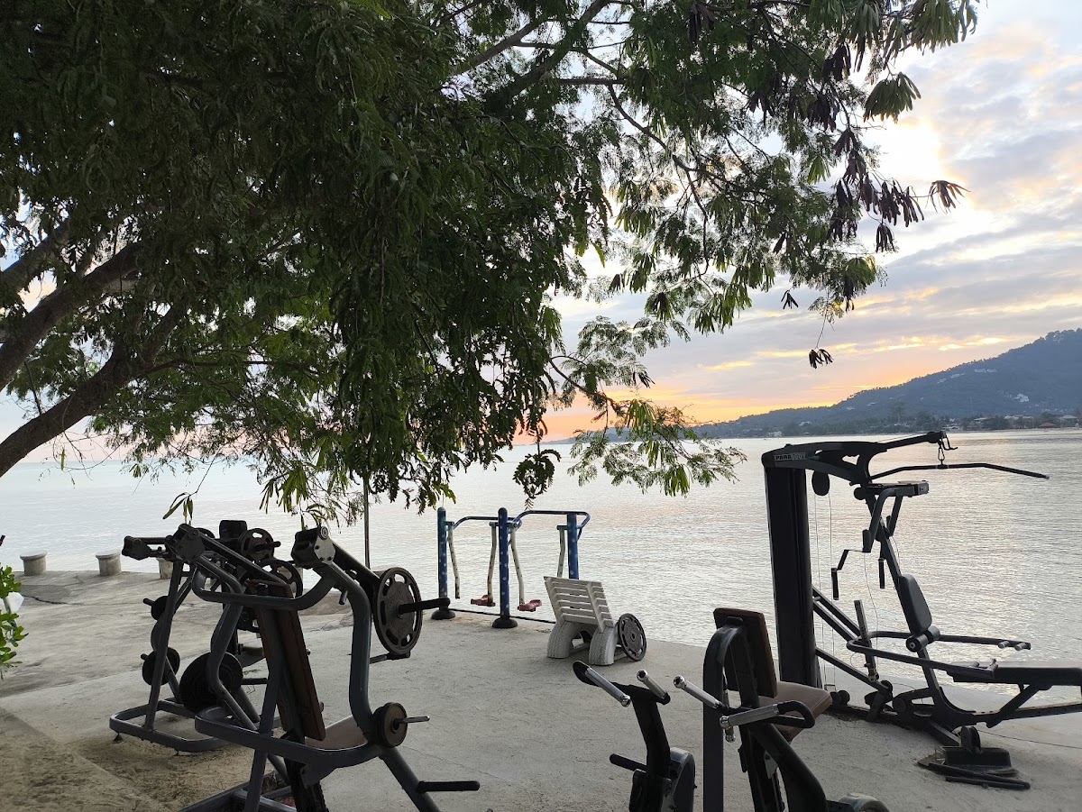 Outdoor Gym - Photo 4