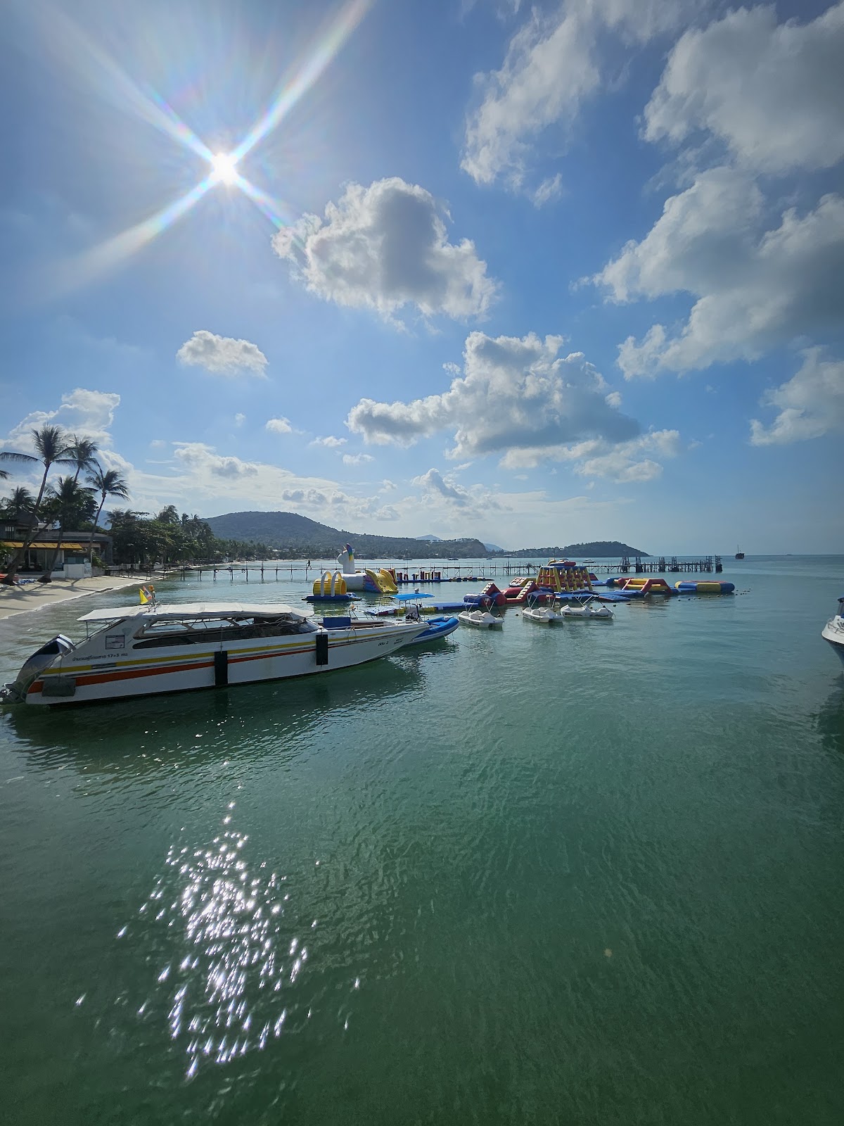 Petcherat Marina - Photo 5