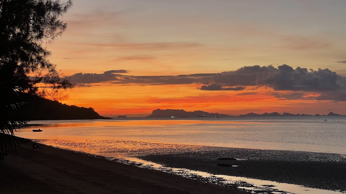 Rendezvous Beach Bar - Photo 4