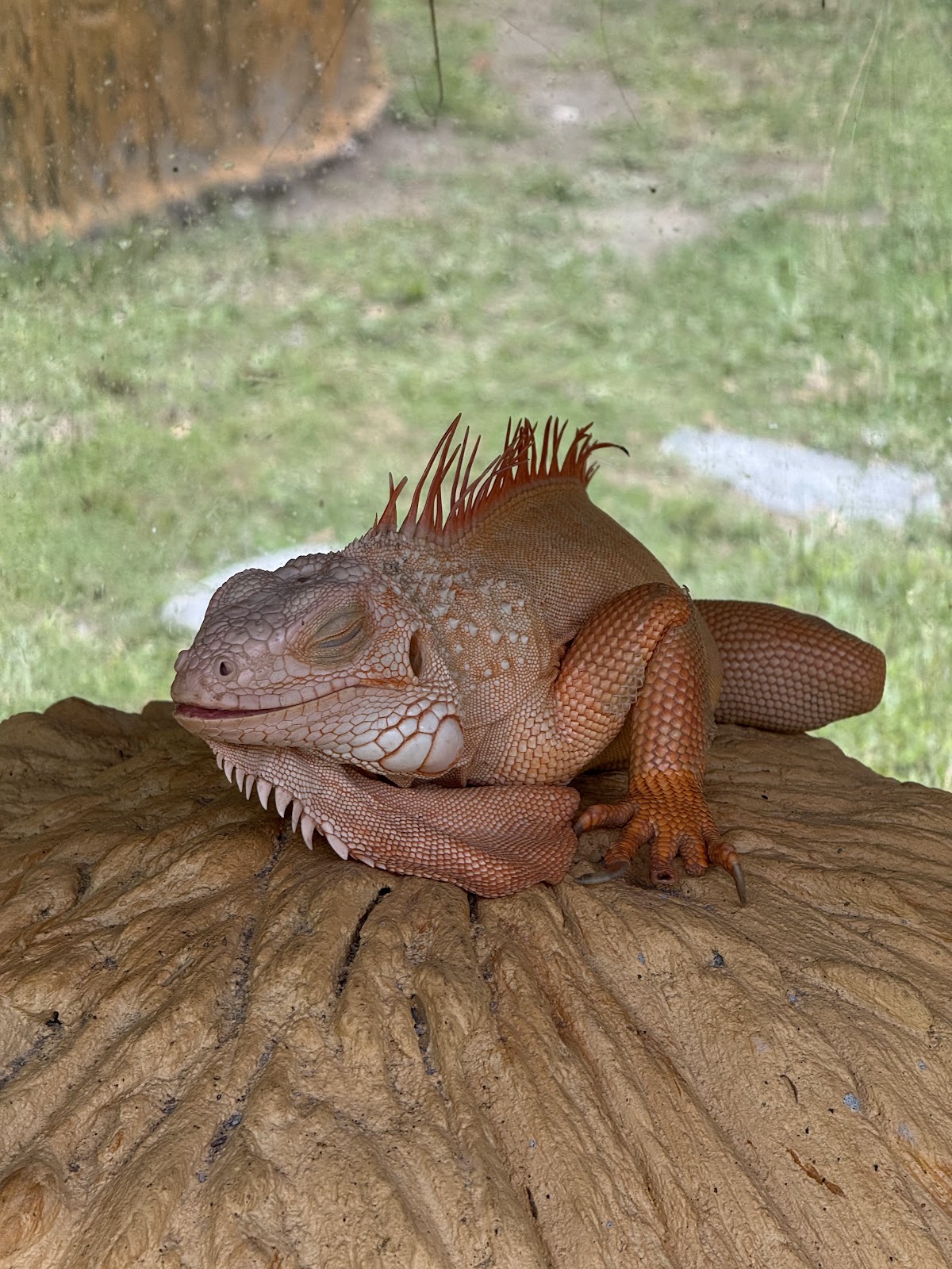 Samui Exotic Park - Photo 5