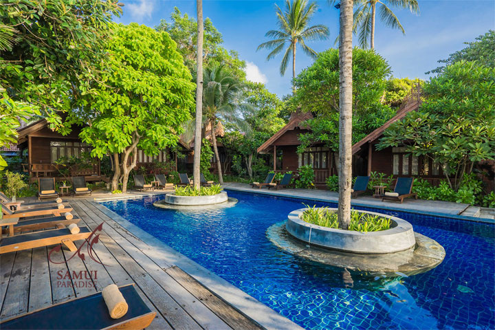 Samui Paradise - Photo 4