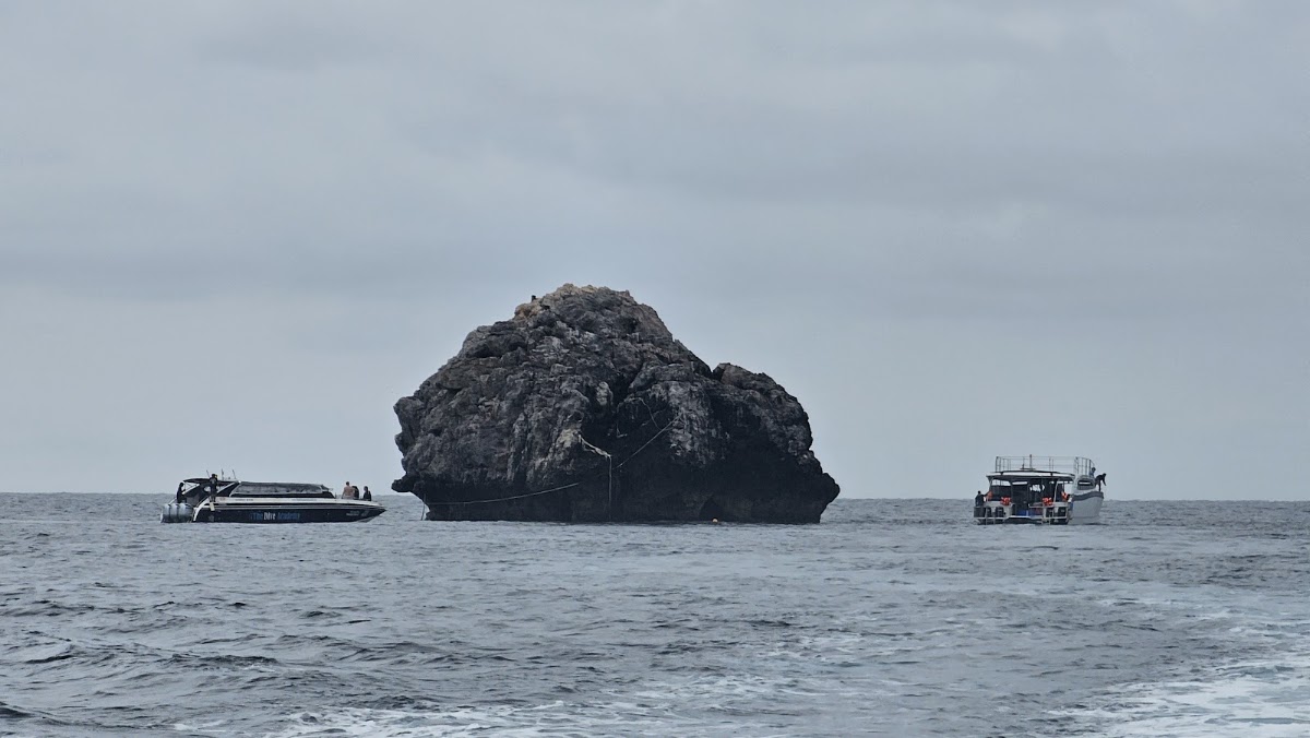 Silent Divers - Photo 5