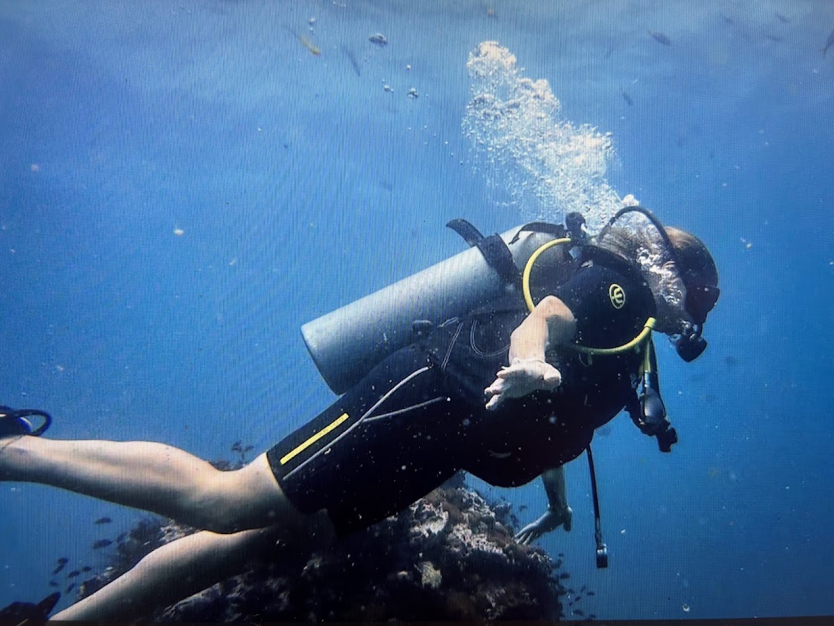 Silent Divers - Main view