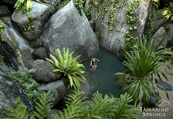 Tamarind Springs - Main view