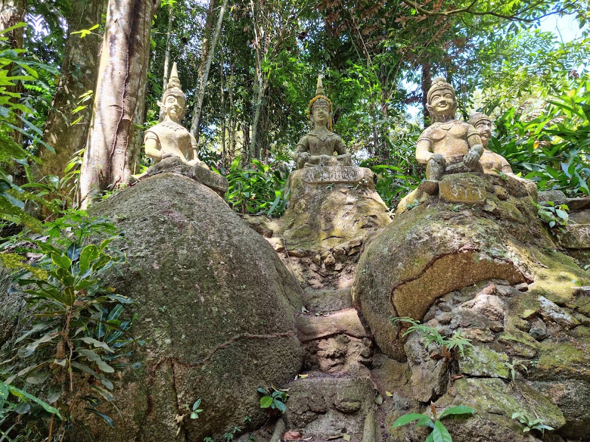 Tarnim Magic Garden - Photo 3