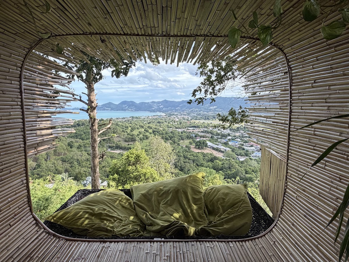 The Cocoon Viewpoint - Main view