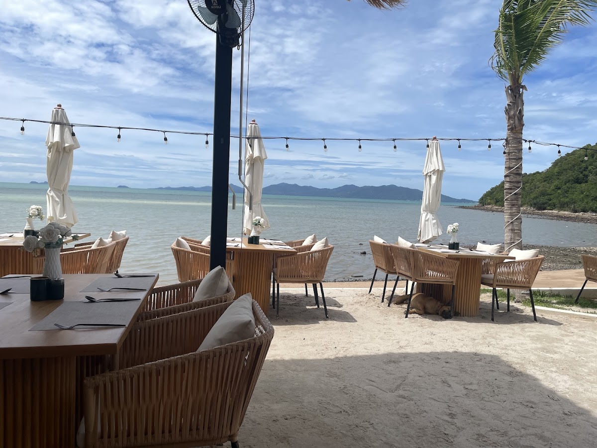 The Deck Beach Club - Photo 2