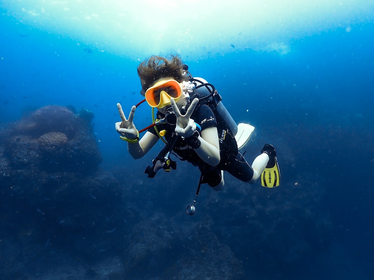 The Dive Academy - Main view
