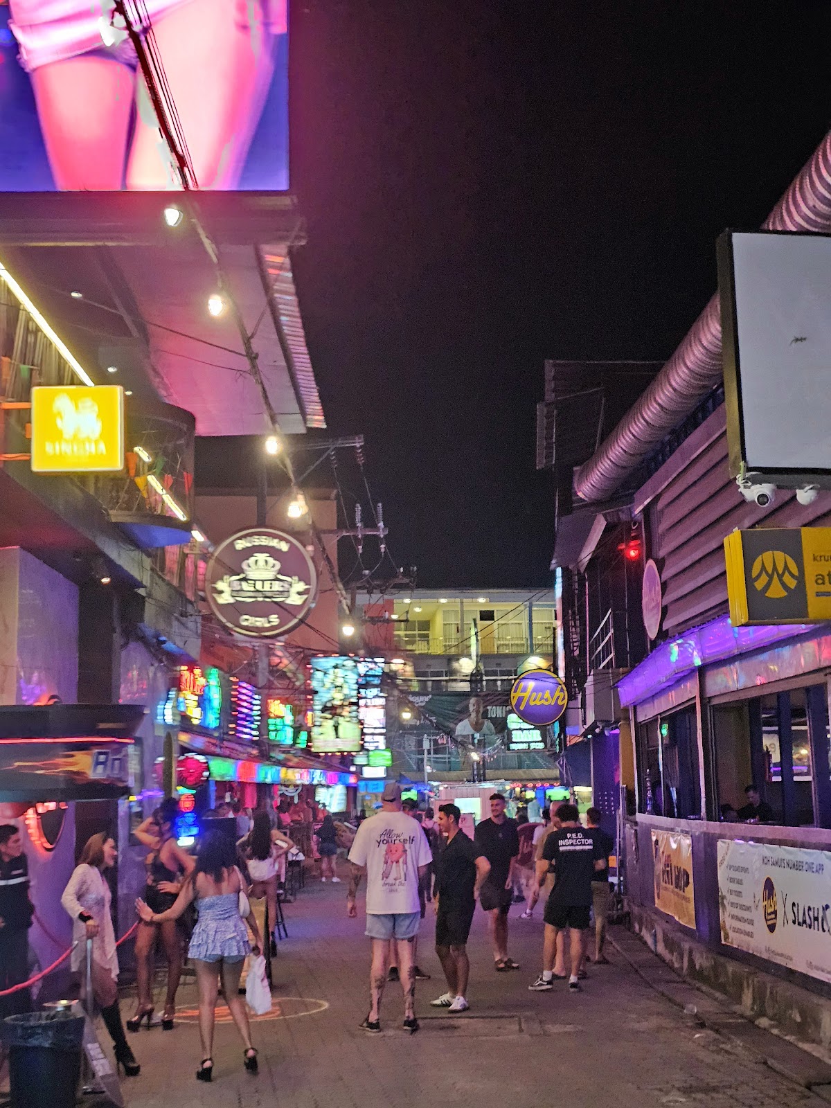 The Green Mango - Main view