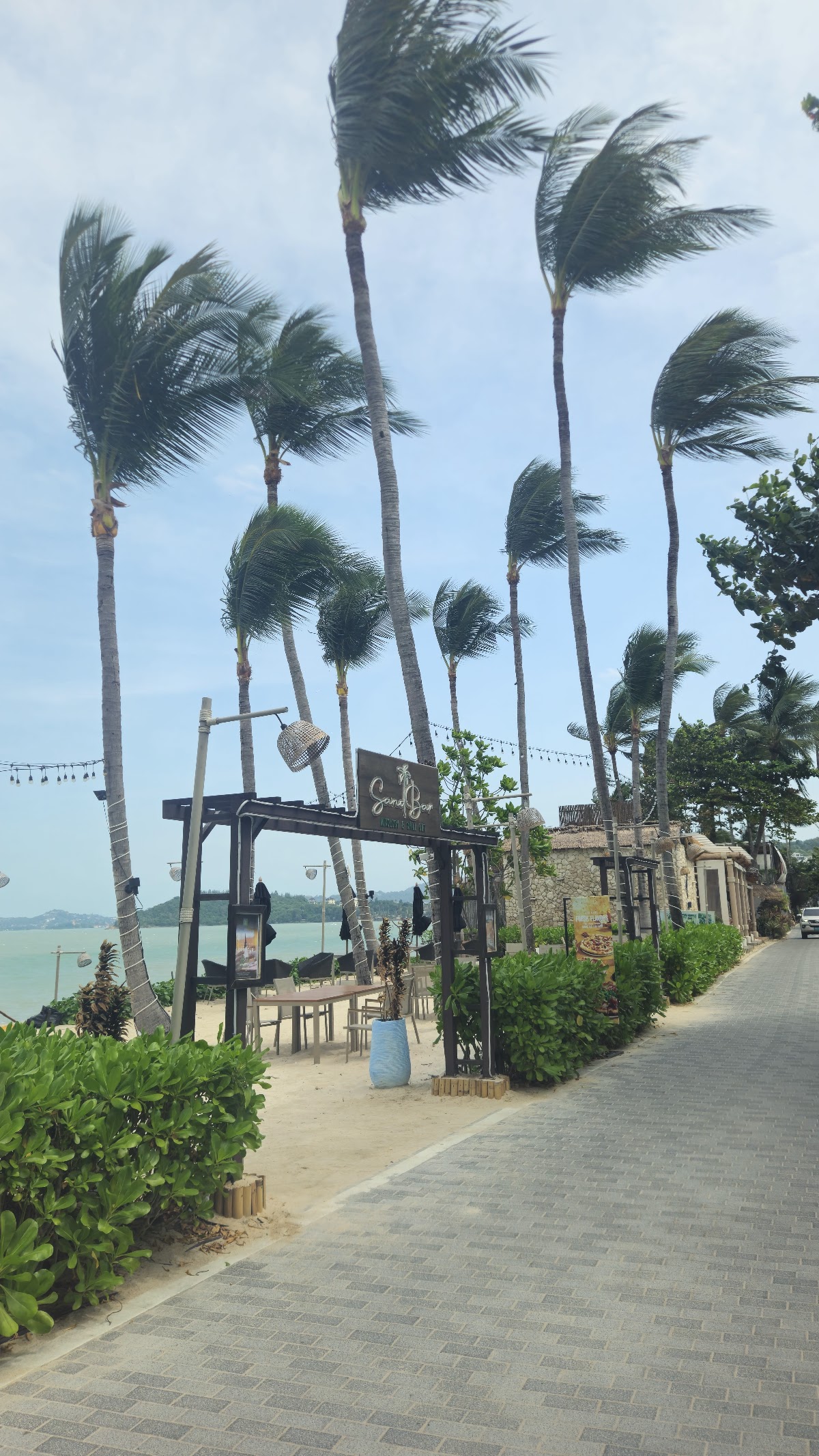 The Lazy Coconut Pool Bar - beach bar on Koh Samui