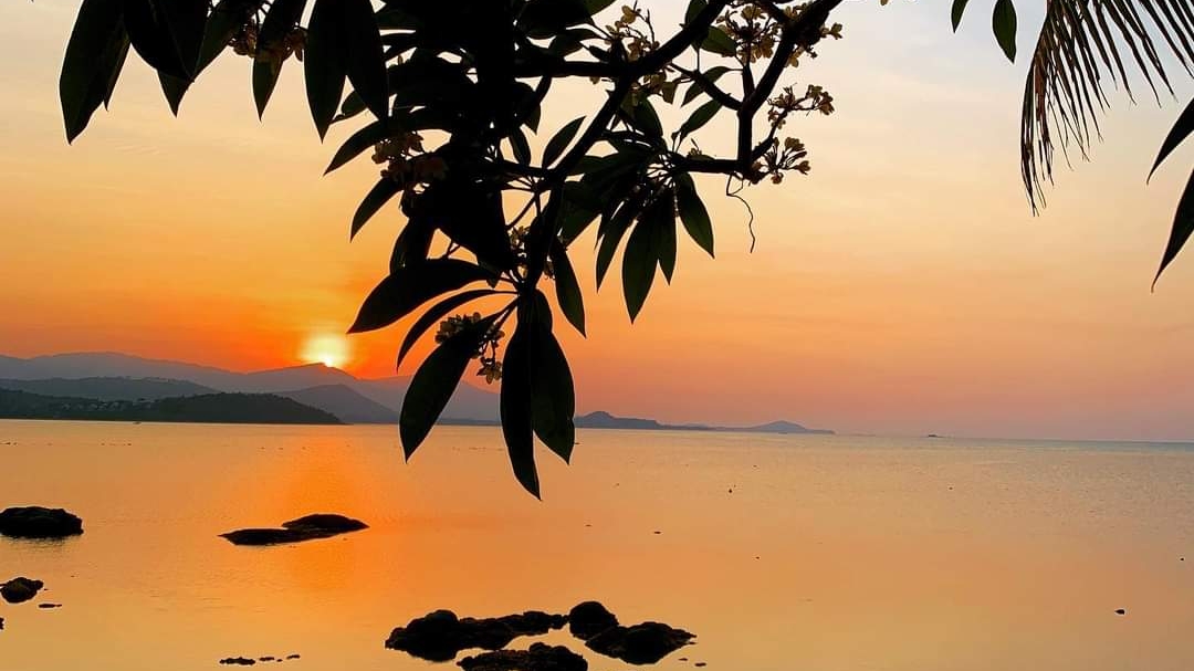 The Sunset - Main view