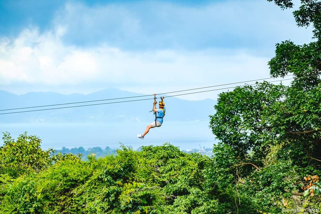 Tree Bridge Zipline - Main view