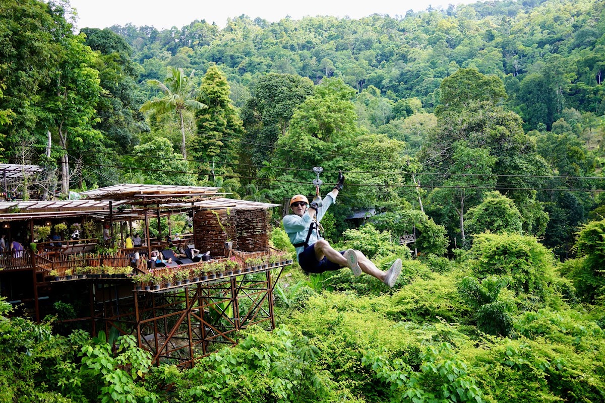Tree Bridge Zipline - Photo 3