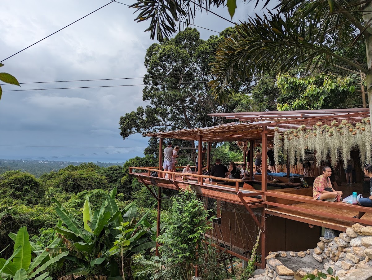 Tree Bridge Zipline - Photo 4