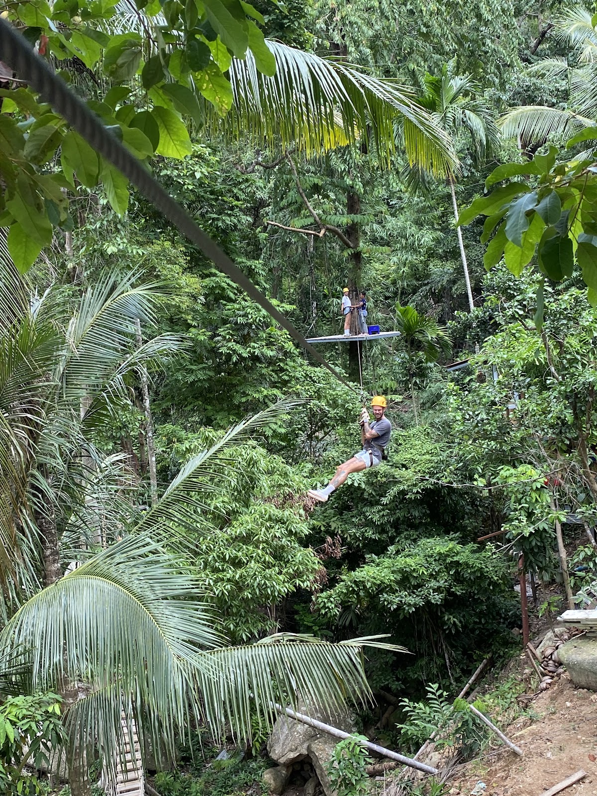 Treetop Tour Zipline - Photo 5