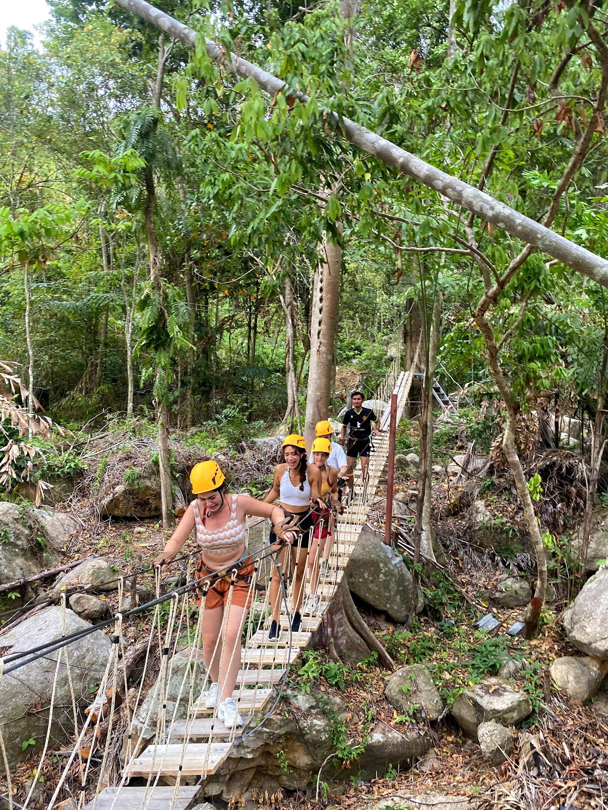 Treetop Tour Zipline - Photo 3