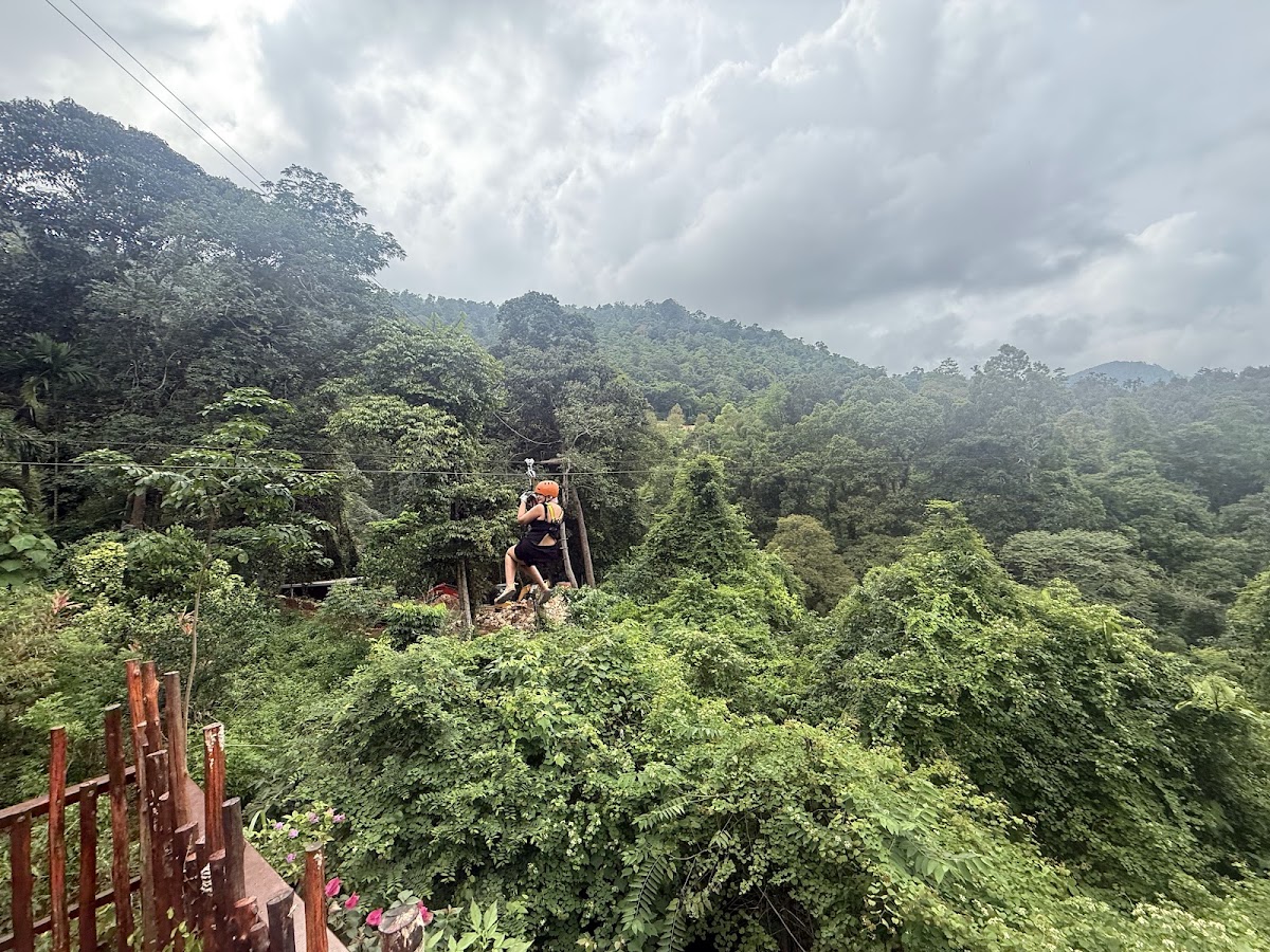 Treetop Tour Zipline - Main view
