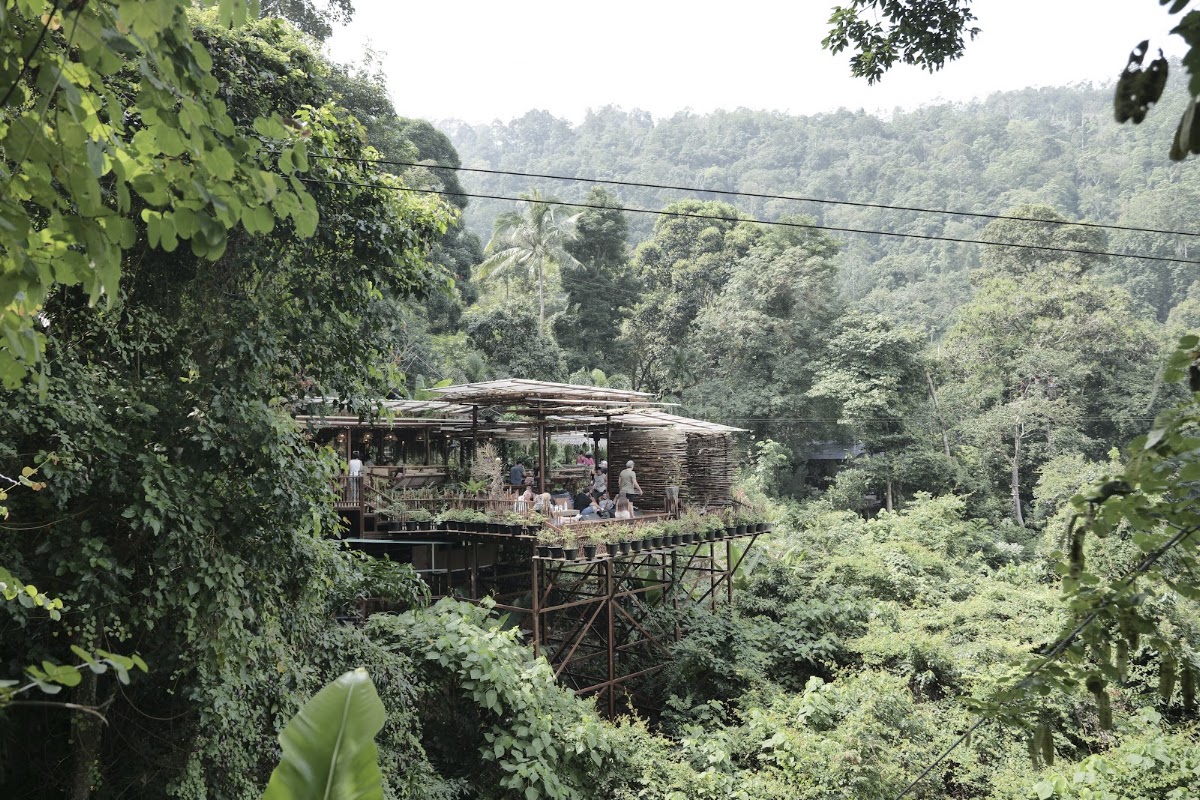 Treetop Tour Zipline - Photo 4