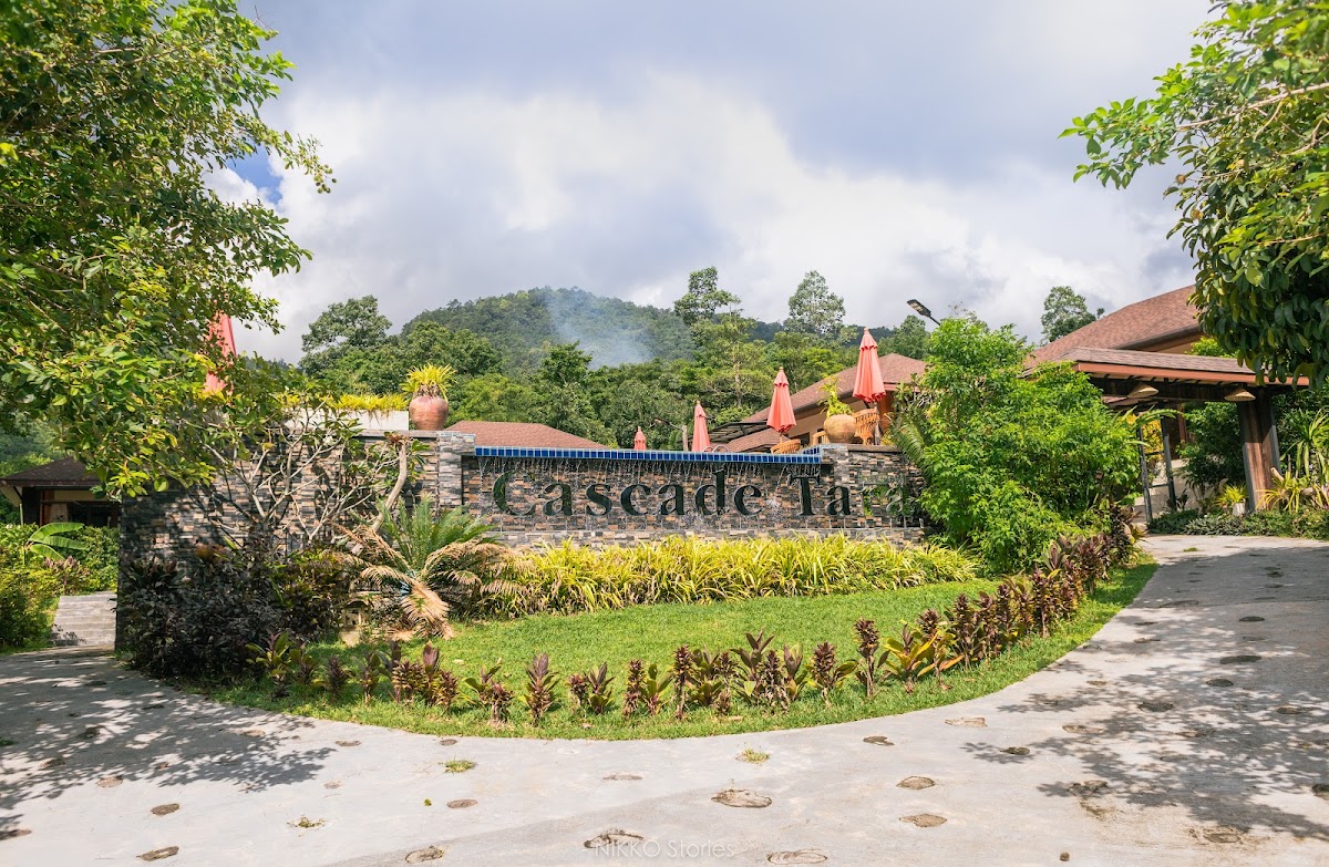 Cascade Tara - Main view