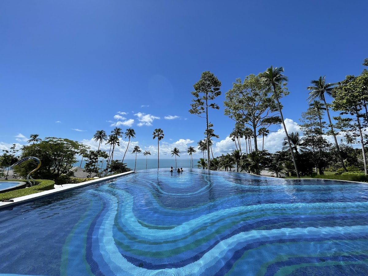 Hyatt Regency - Photo 4