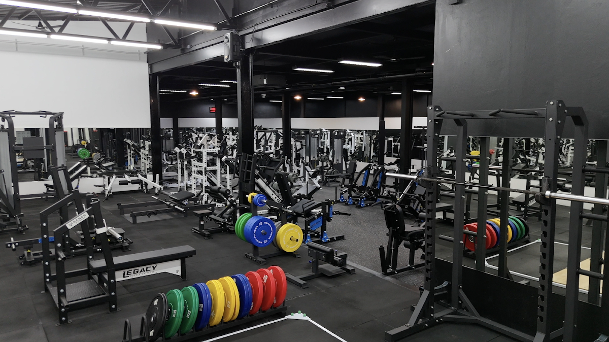 Legacy Muscle Universe - Main view
