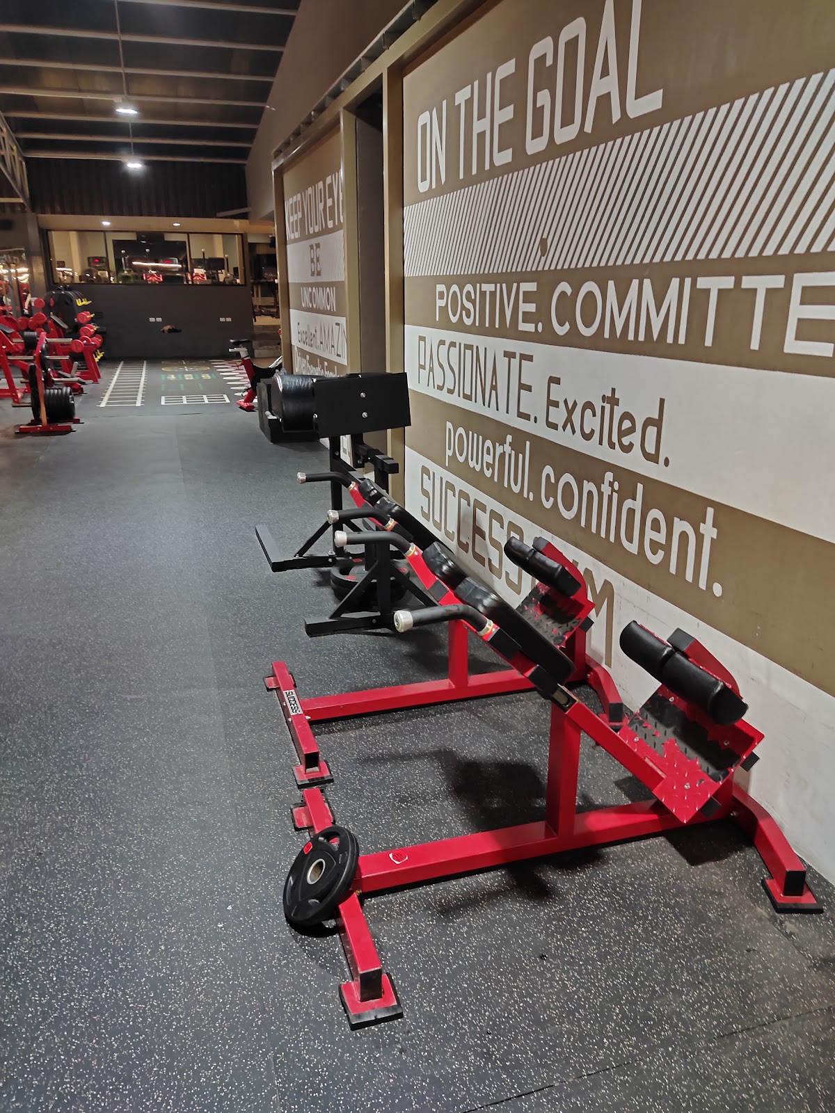 Success Gym - Photo 5