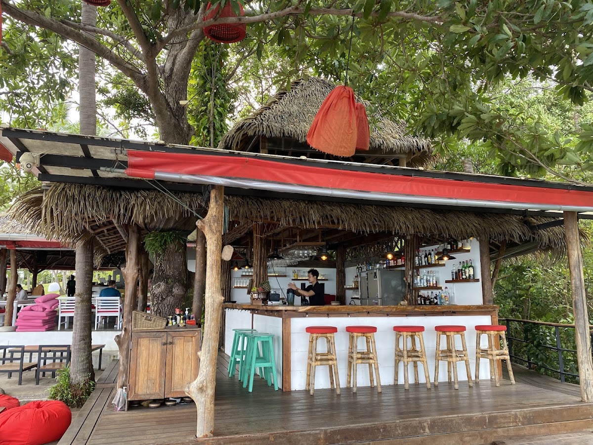 The Jungle Club - Main view