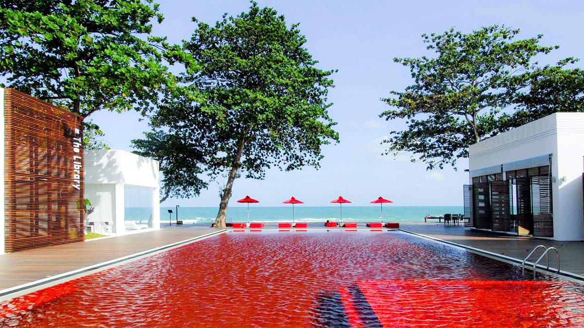 The Library - Photo 2