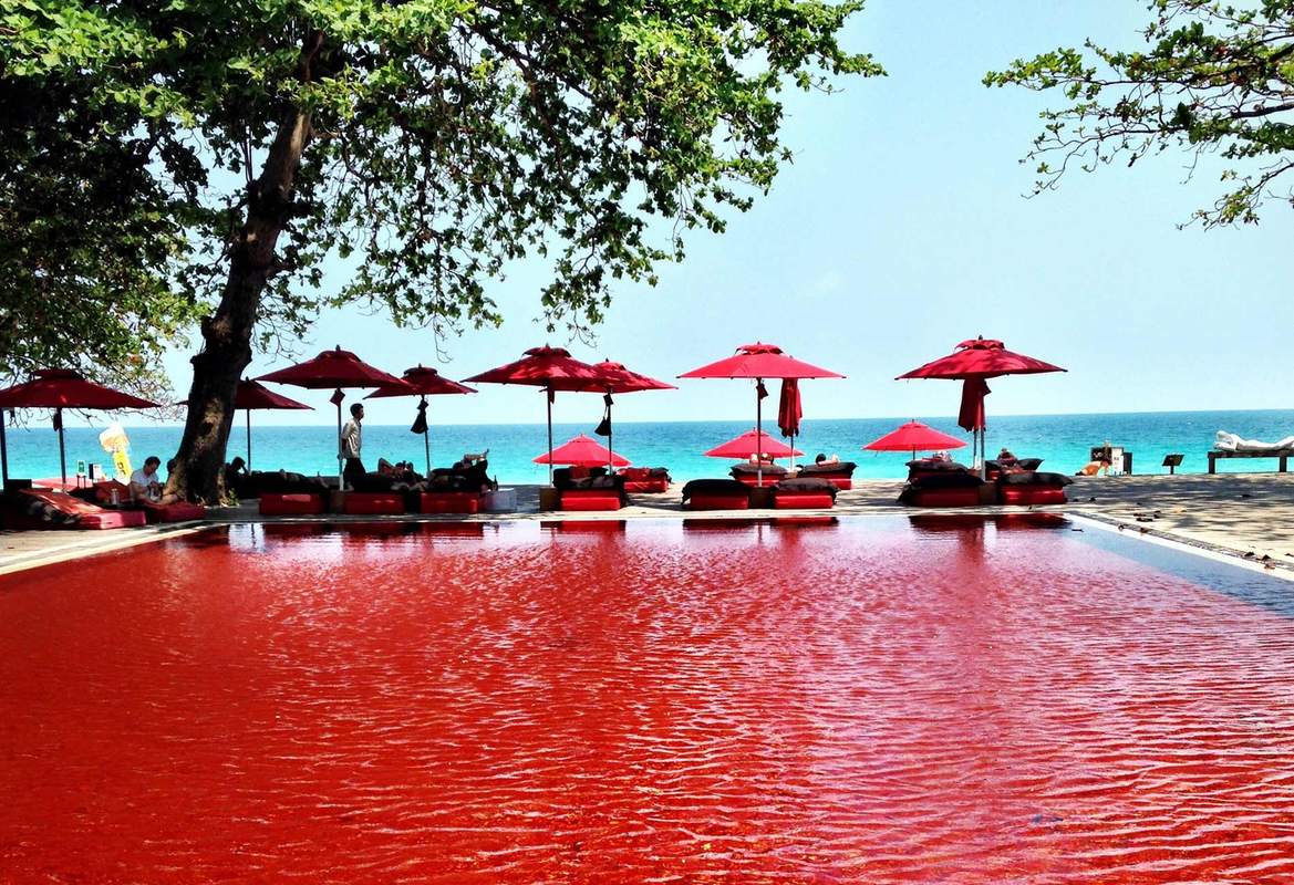 The Library - Photo 3