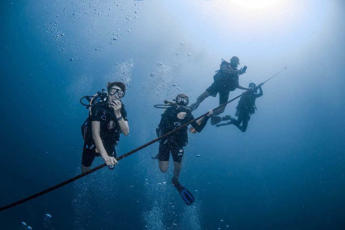 Waterspeak Private Charters & Scuba Diving - Main view
